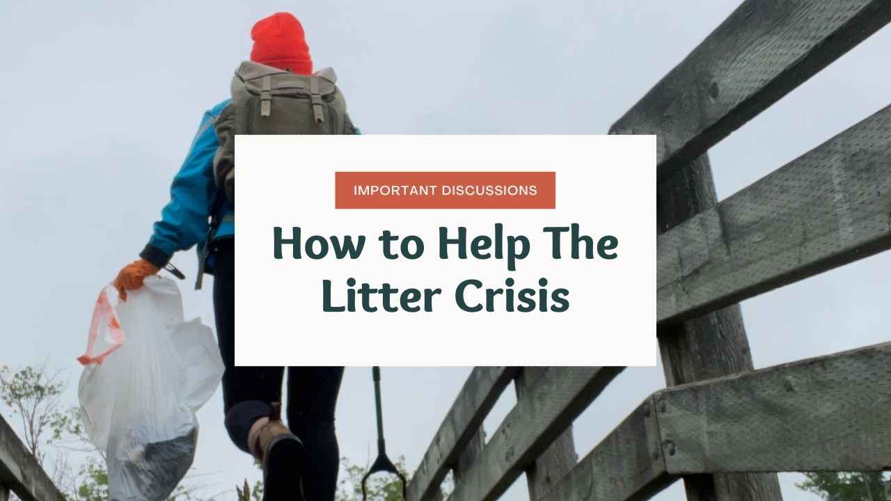 how to help the litter crisis with someone walking with a bag of garbage and a trash picker